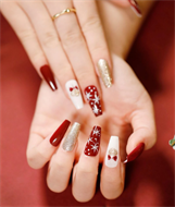 Christmas Design 24pcs False Nails & File Set